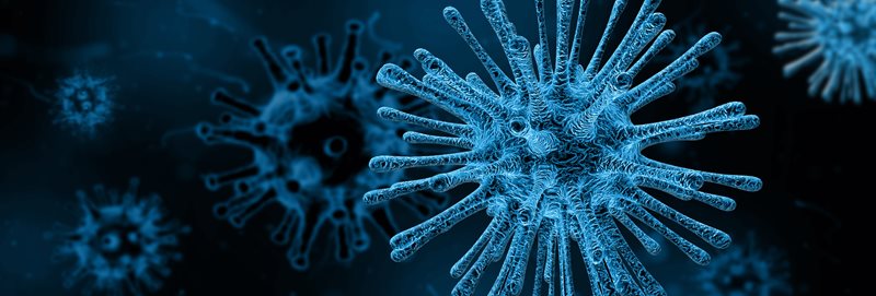 Virus-(1).jpg Virus-(1).jpg