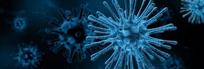 Virus-(1).jpg