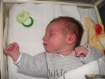 Babyalbum