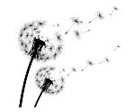 Weltpalliativtag am 09.Oktober 2021