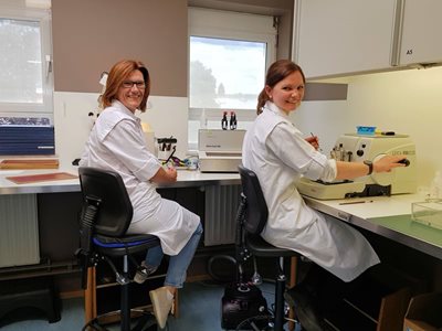 4-Laboratoire.jpg 4-Laboratoire.jpg