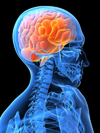 Neurochirurgie