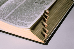 Wörterbuch