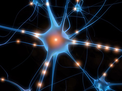 Neurologie